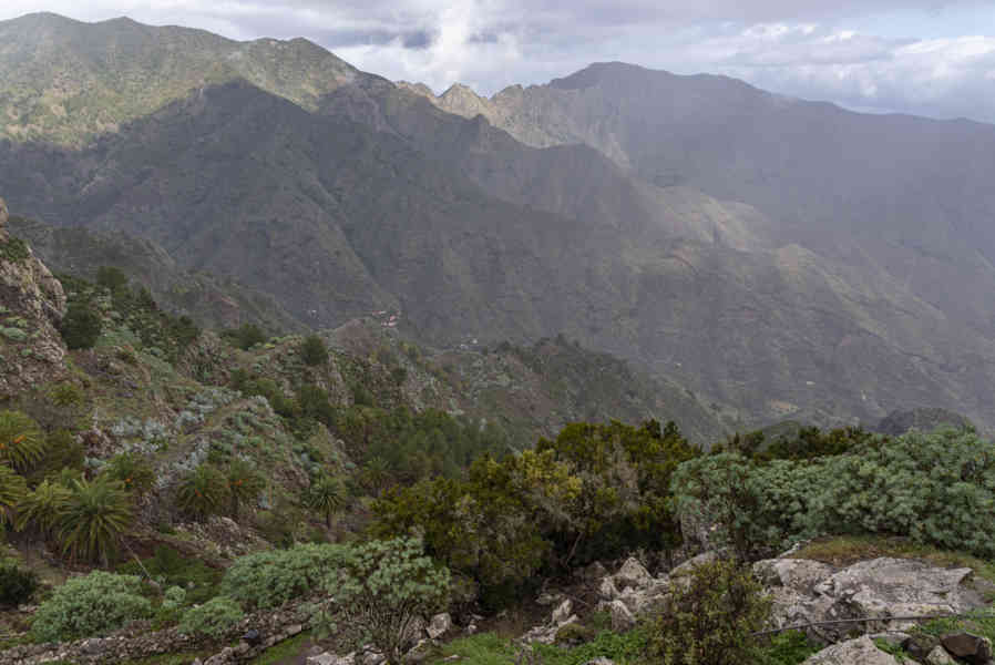 La Gomera 26 - parque nacional de Garajonay .jpg